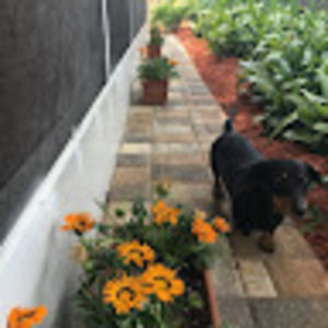 Meet your Posher, David